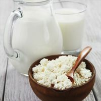 Crafty Cultures Milk Kefir Grains